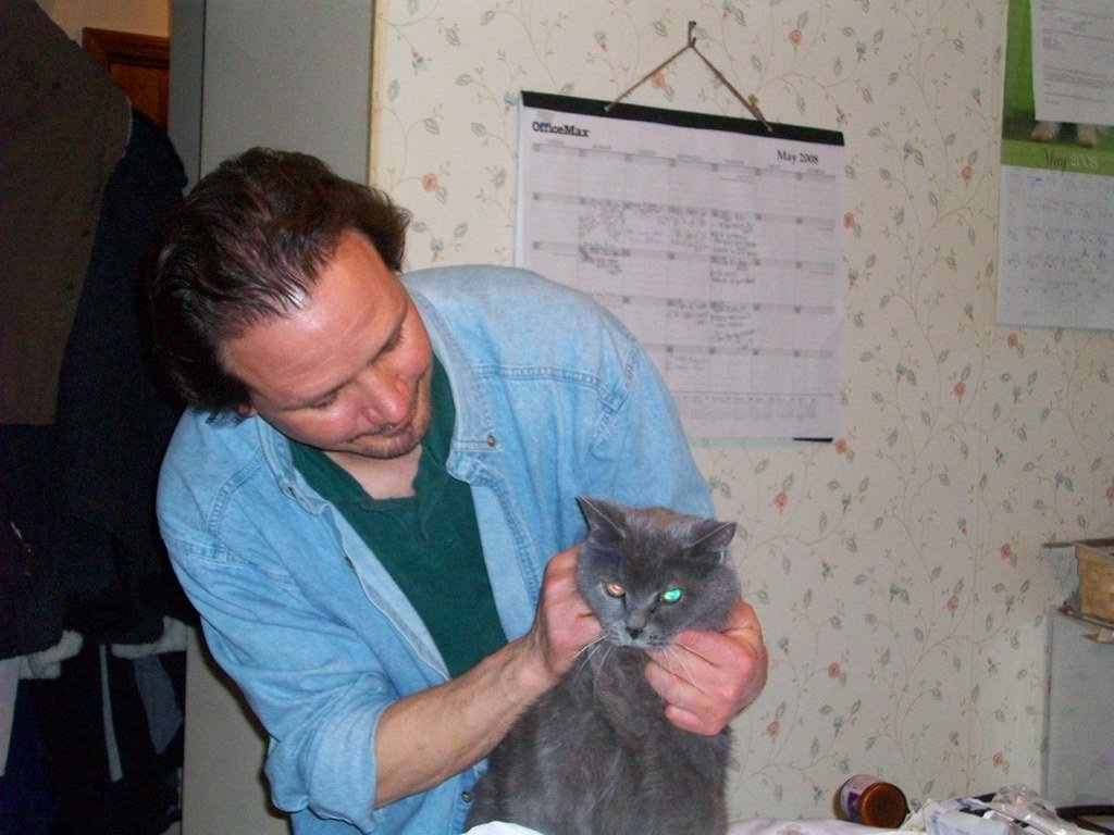 Conclusion: Your Pet's Life Depends on Facts, Not Fiction (image credits: flickr)