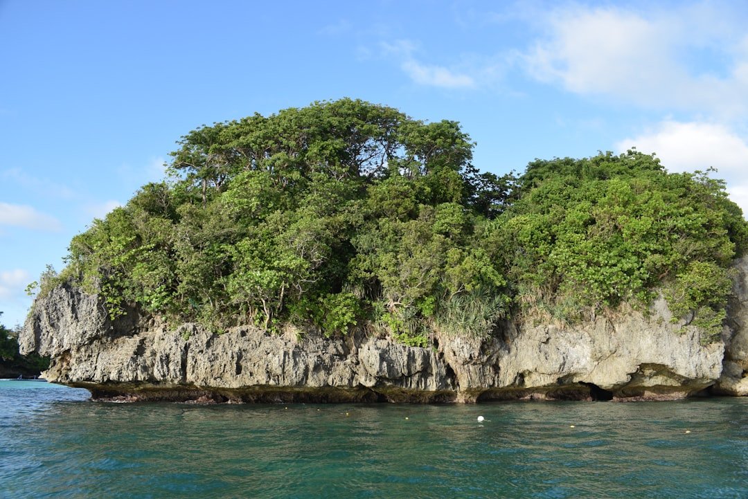 Forces Converging on an Island (image credits: unsplash)