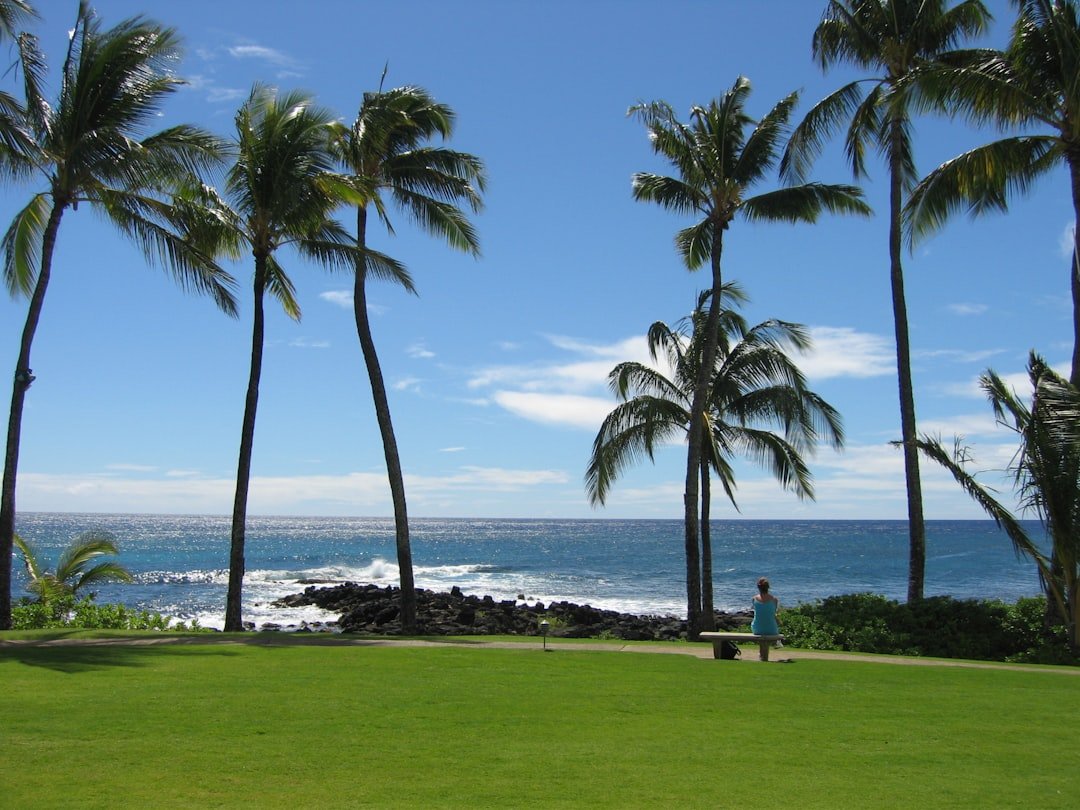 Trade Wind Phenomena: The Constant Cooling System (image credits: unsplash)