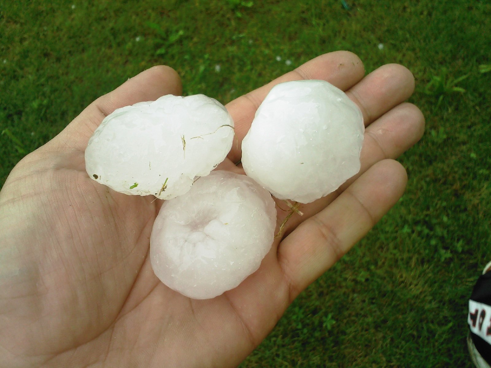 The Hondo Hailstone Record Breaker - April 28, 2021 (image credits: wikimedia)