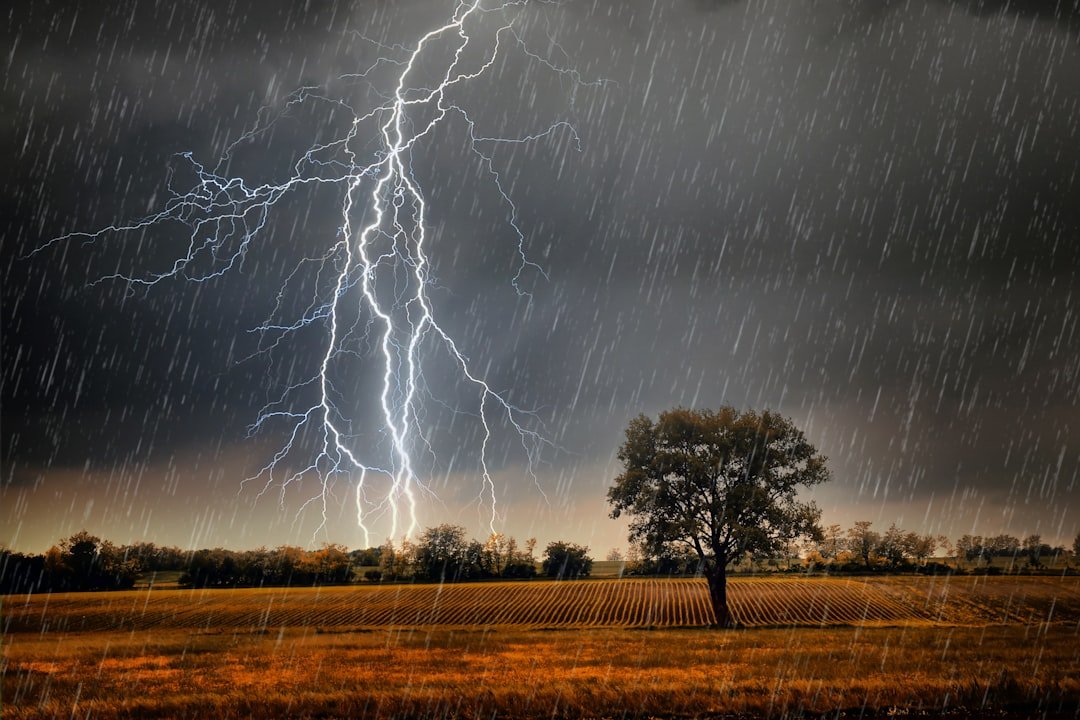 The Historic Mayfest Disaster - May 5, 1995 (image credits: unsplash)