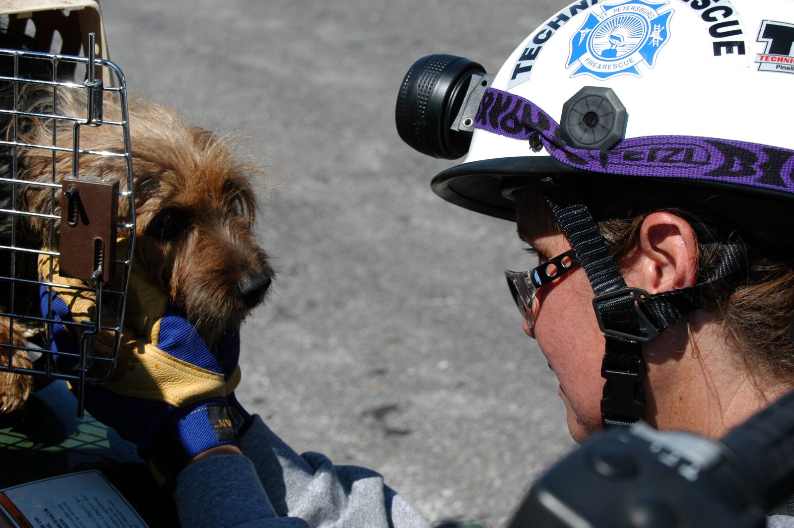 The Hidden Clues (image credits: wikimedia)