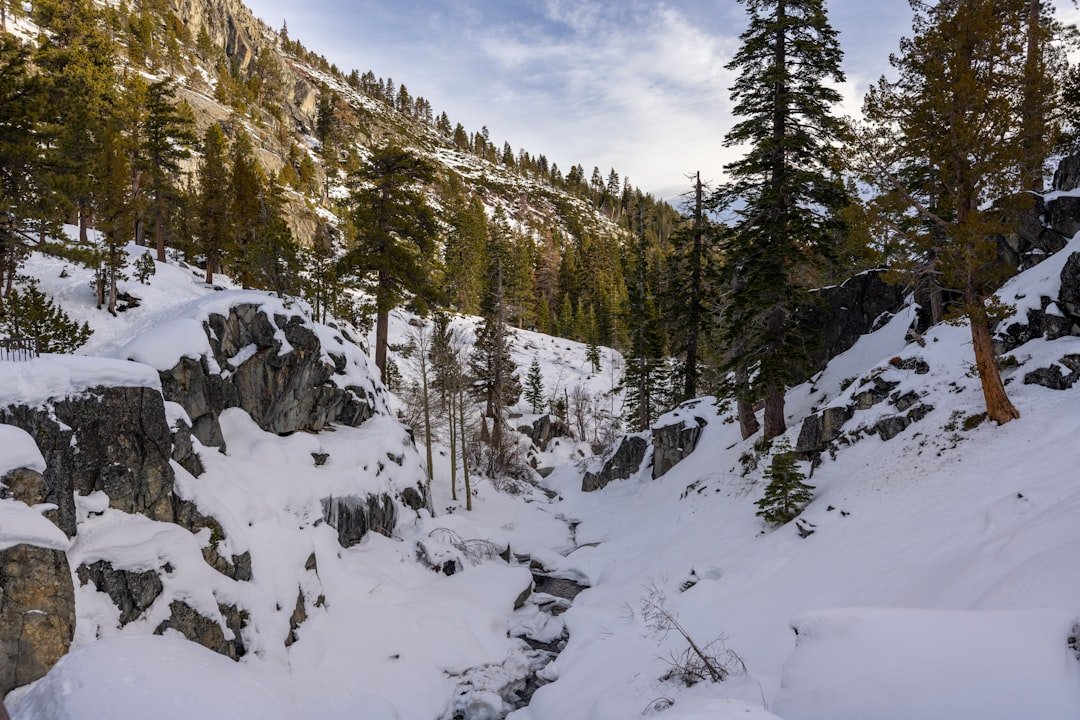 Walls of White: Sierra Snow Depth at Tamarack (image credits: unsplash)