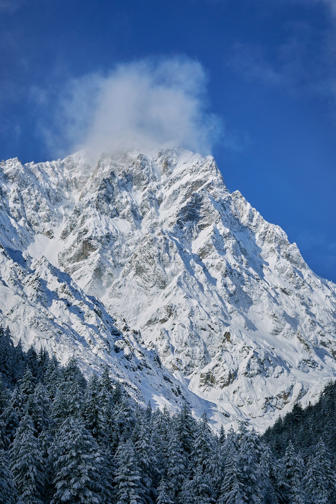 The Snowpack That Stunned: Spring 2023’s Mountain Bounty (image credits: unsplash)