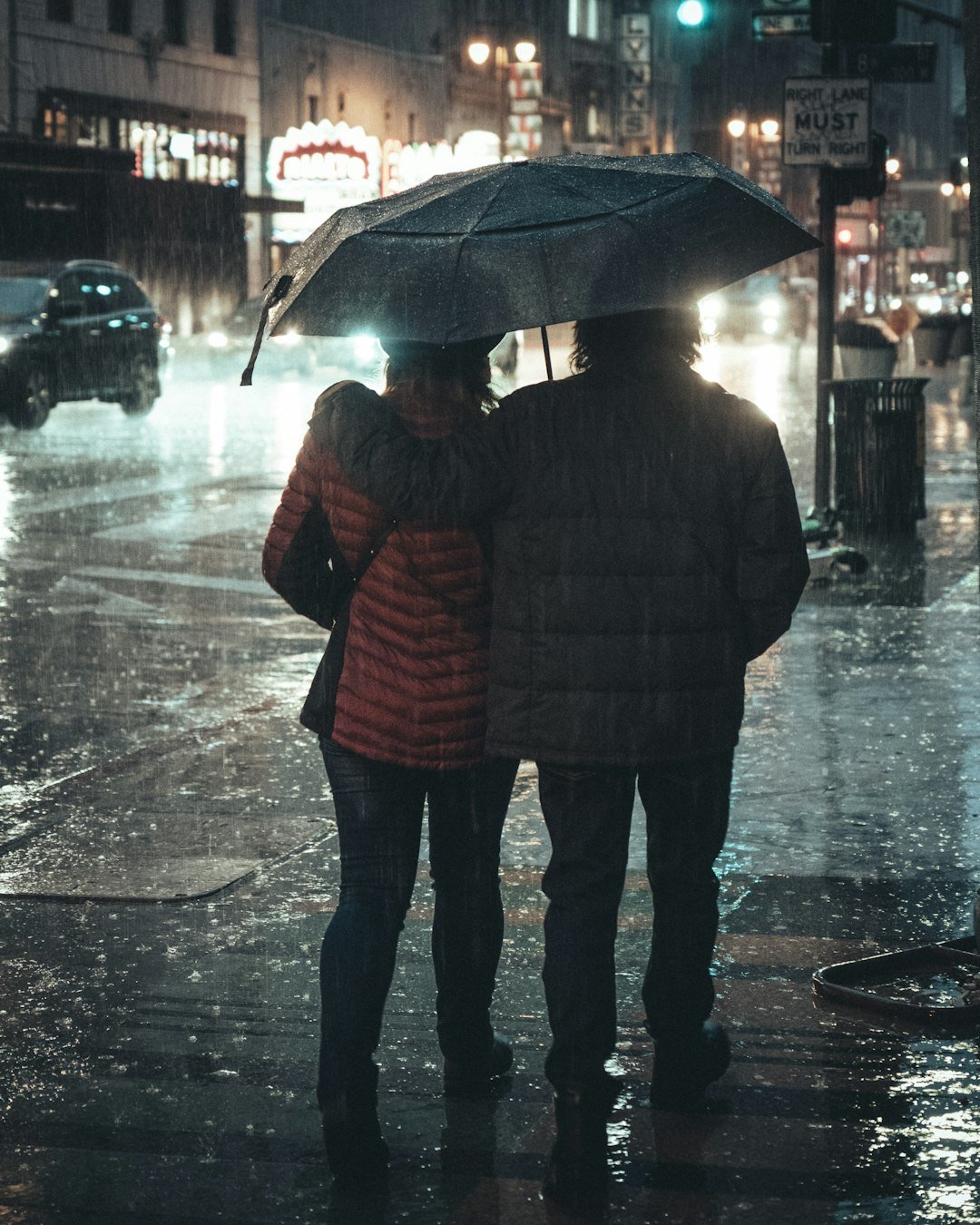 When Los Angeles Felt Subtropical: The February 2024 Deluge (image credits: unsplash)