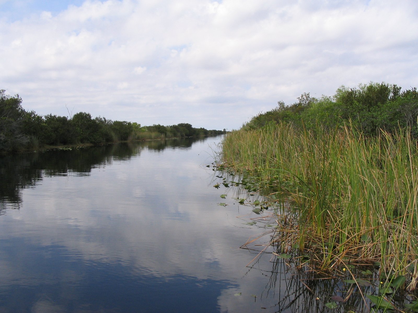 The Future Landscape (image credits: wikimedia)