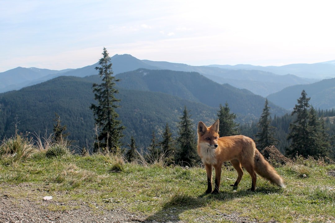 Who’s Coming Back (image credits: unsplash)