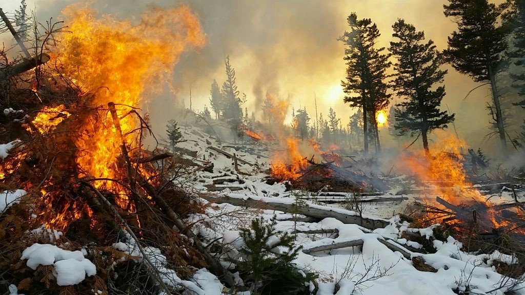 When Winter Burned (image credits: rawpixel)