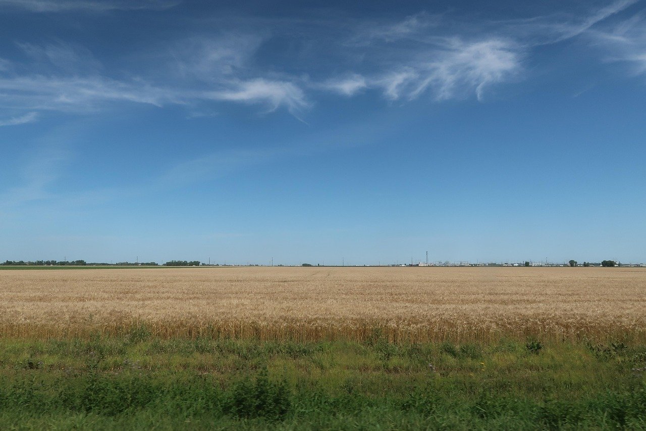 Agricultural Intensification: The Double-Edged Sword (image credits: pixabay)