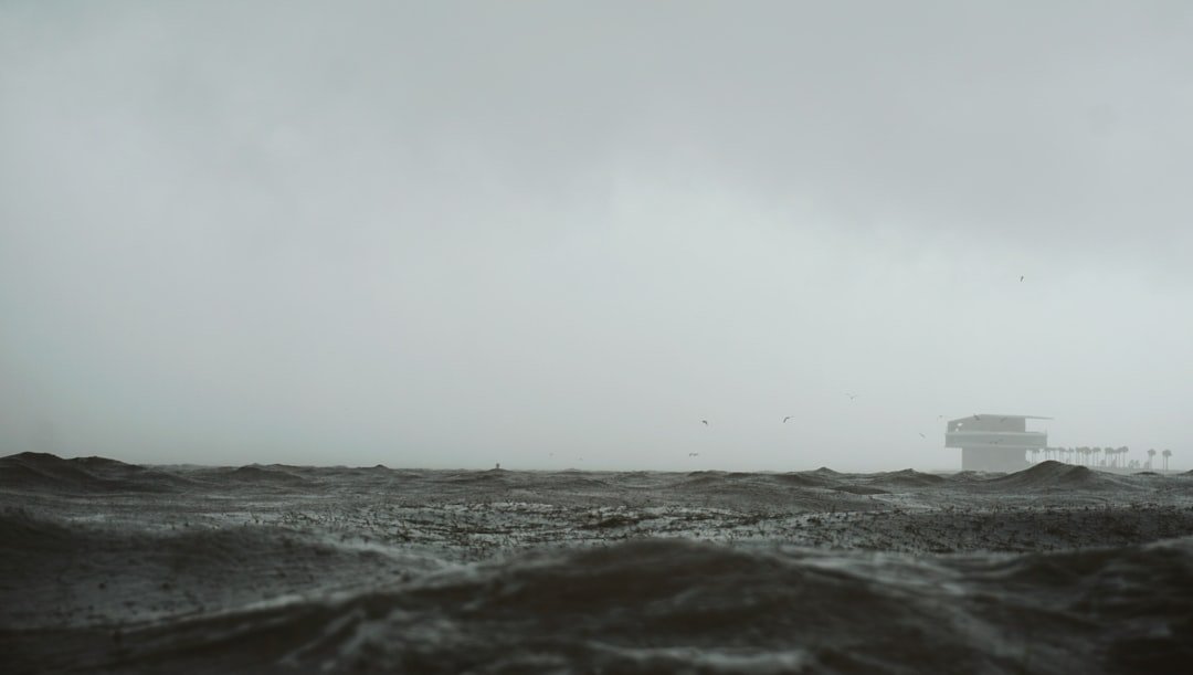 The Hidden Clues (image credits: unsplash)