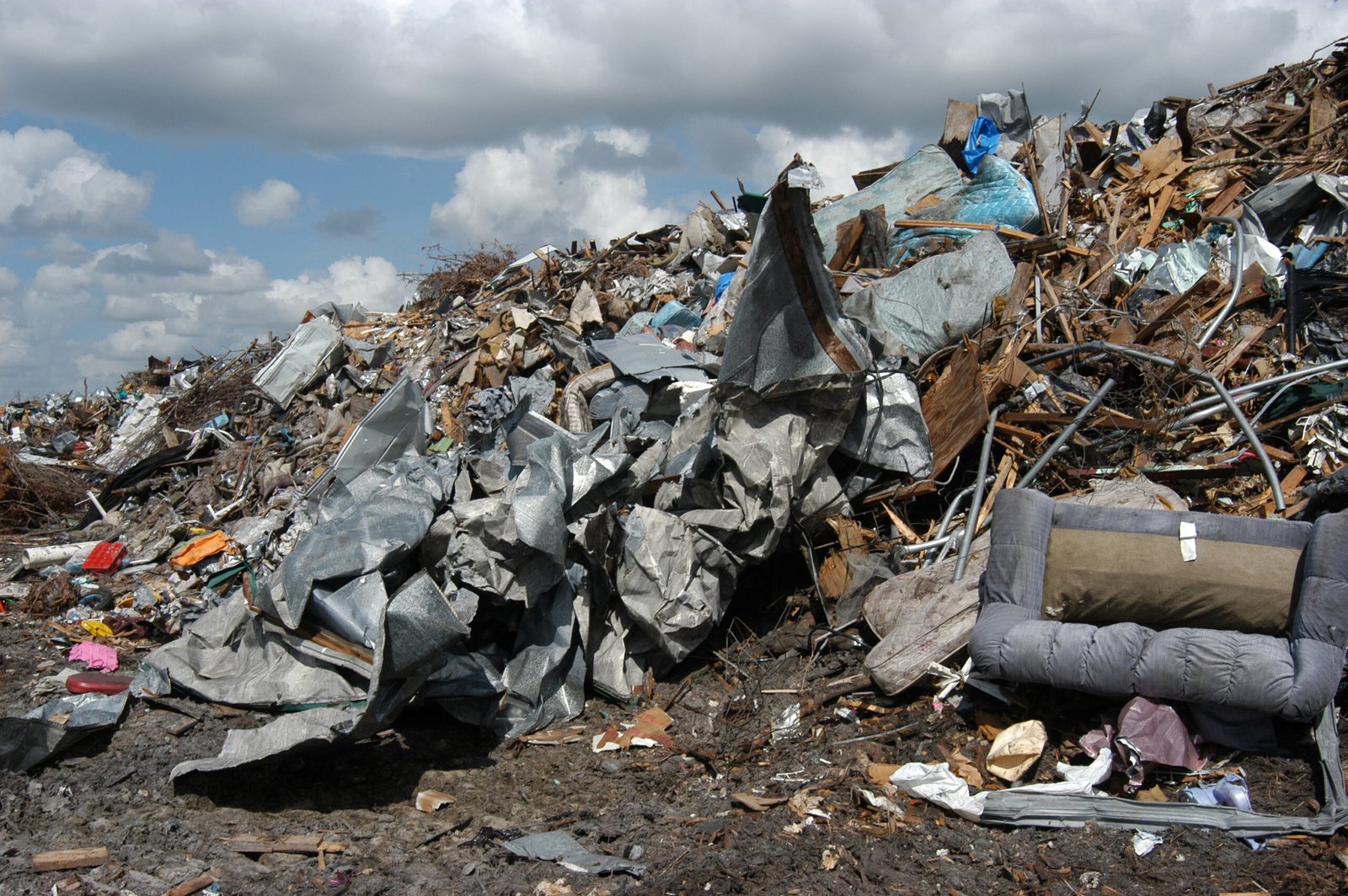Hurricane Charley's Swift Strike and Lasting Changes (image credits: wikimedia)