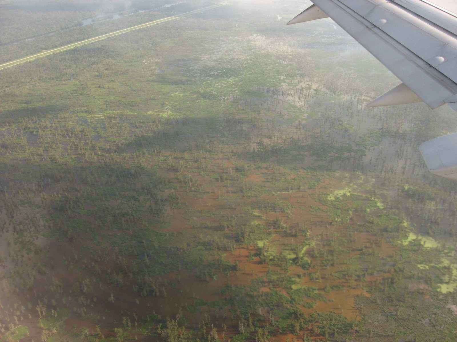 The Vanishing Wetlands That Used to Protect Louisiana (image credits: wikimedia)