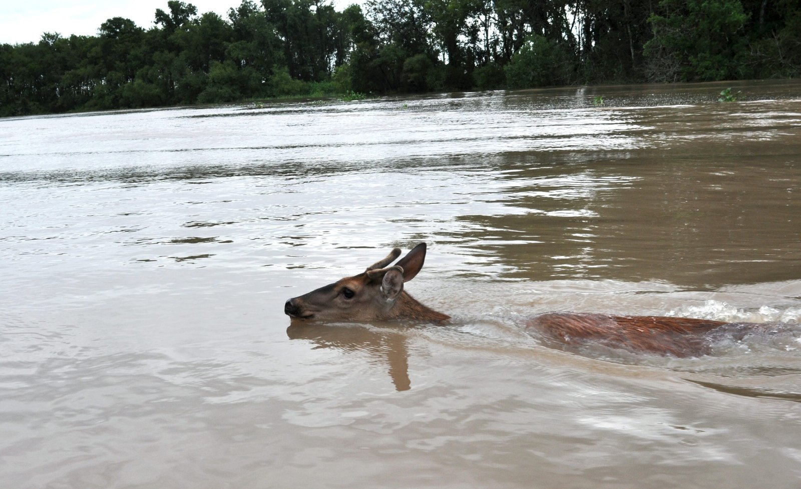 The Climate Change Reality Nobody Wants to Discuss (image credits: By jetheriot, CC BY 2.0, https://commons.wikimedia.org/w/index.php?curid=167439832)
