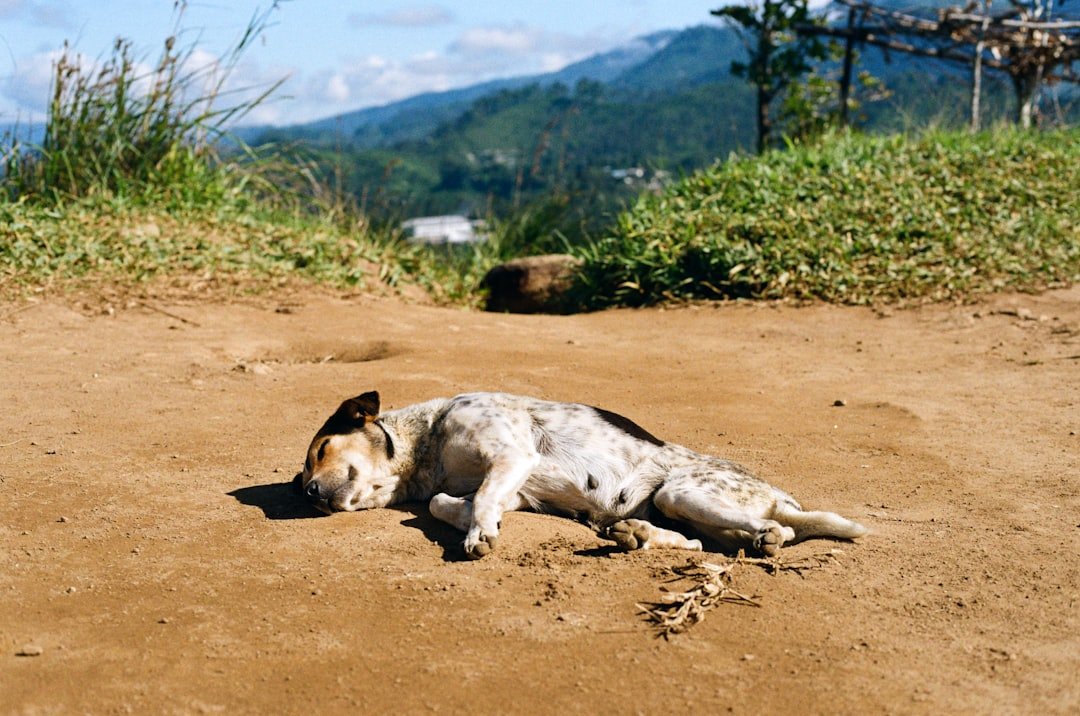 From Ancient Tools to Modern Science (image credits: unsplash)