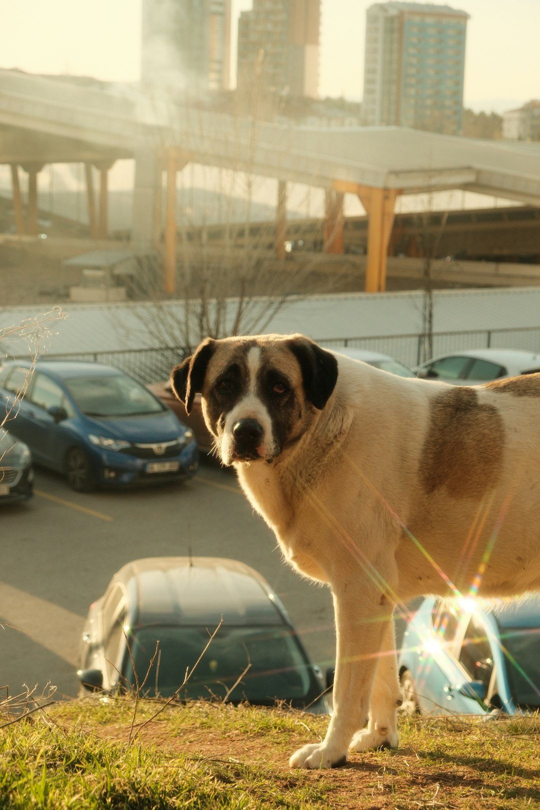 Global Perspectives (image credits: unsplash)