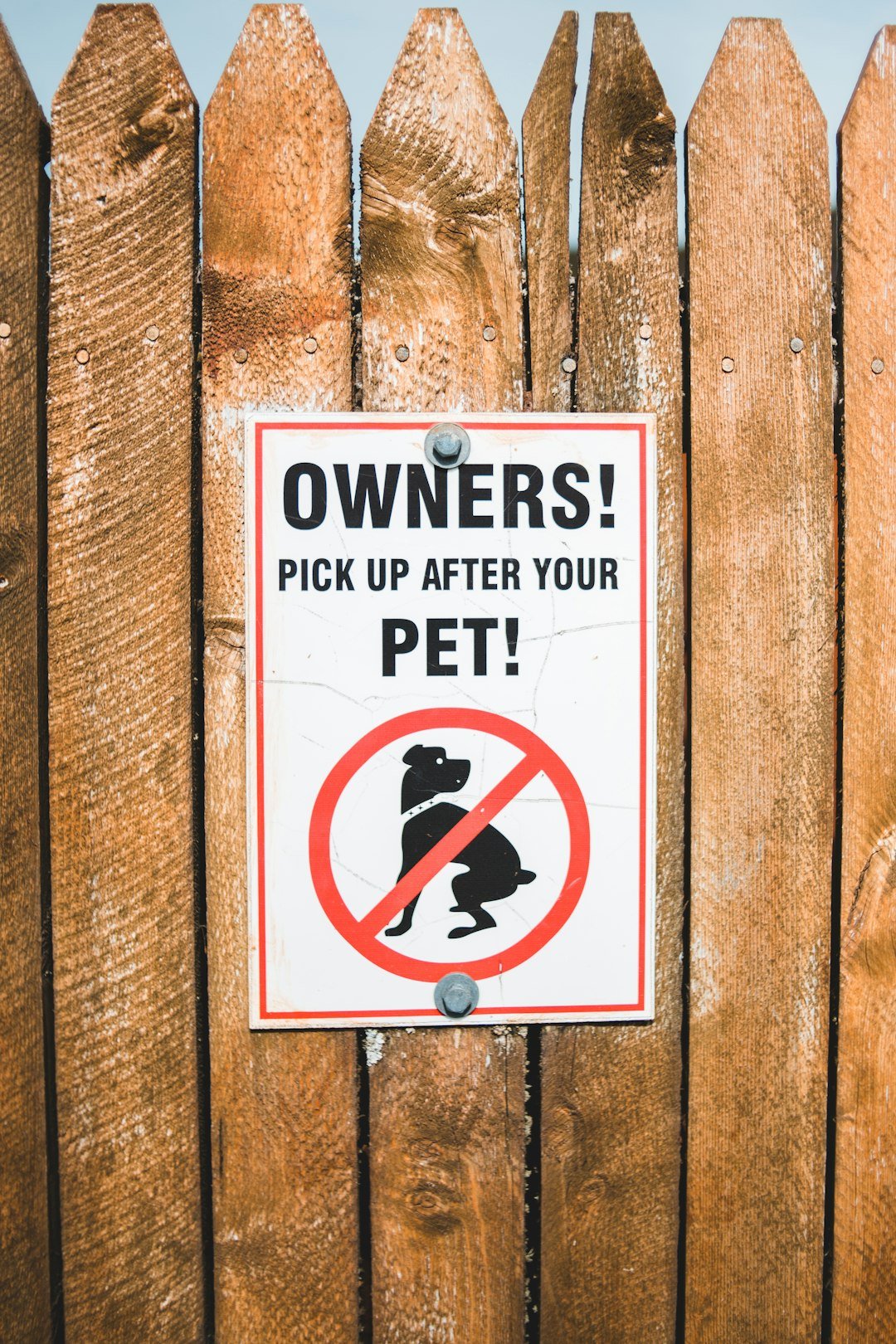 The Hidden Clues (image credits: unsplash)