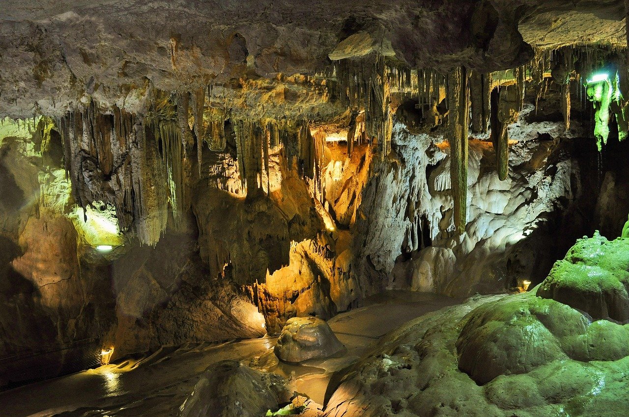 The Cave Ecosystem - More Than Just Bats (image credits: pixabay)