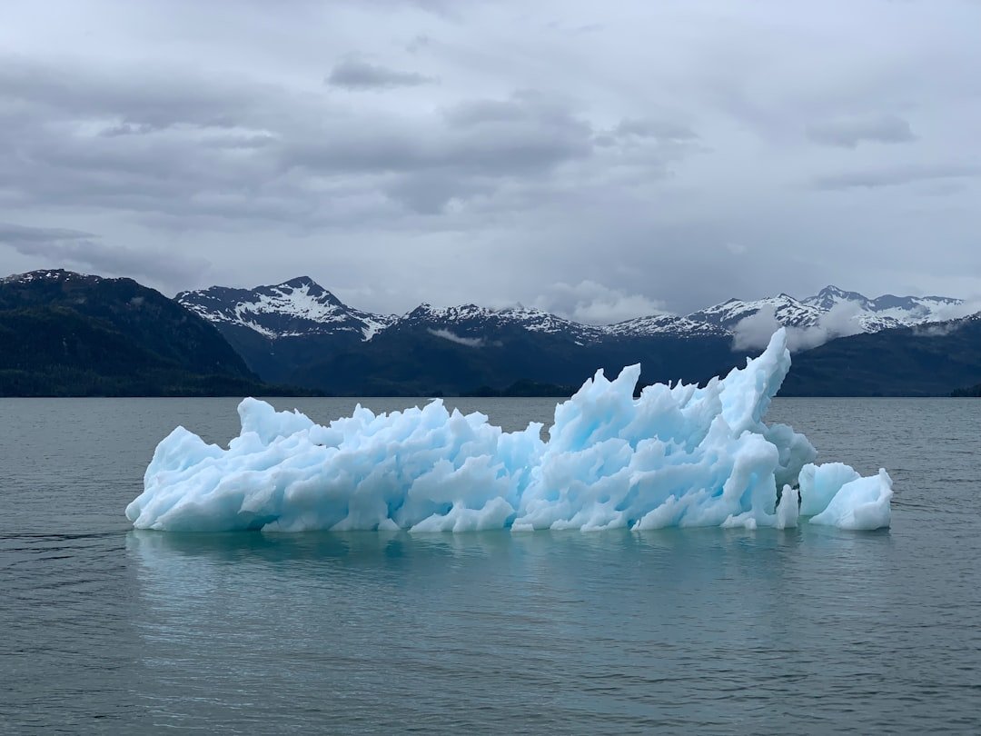 Climate Change: Making Bad Things Worse (image credits: unsplash)