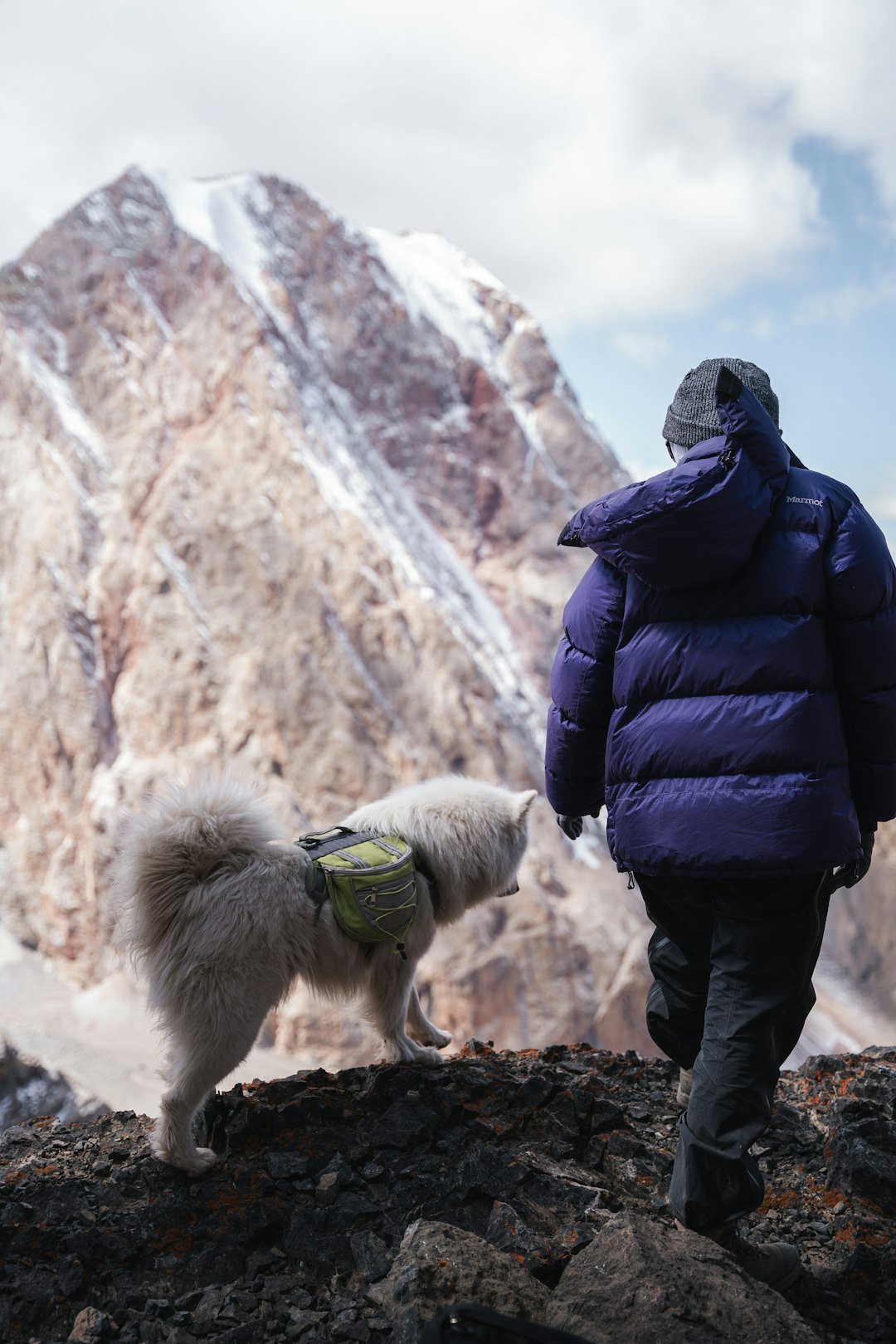 Why It Matters (image credits: unsplash)