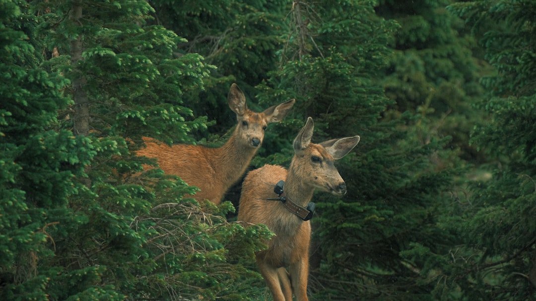 Conclusion (image credits: unsplash)