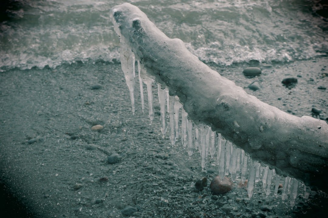 Ice Worms: The Glaciers’ Night Shift (image credits: unsplash)