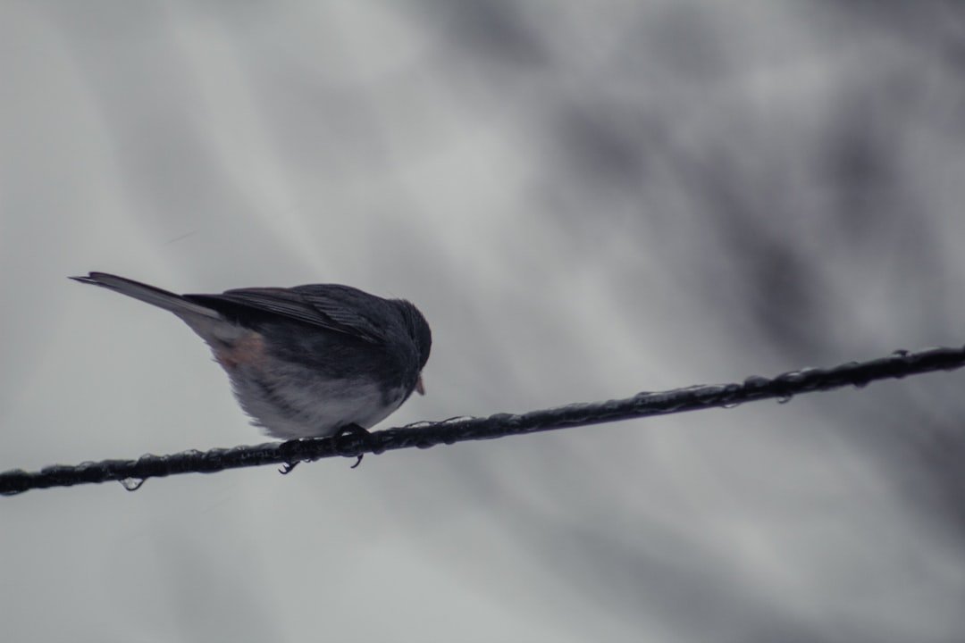 The Numbers Behind the Quiet (image credits: unsplash)