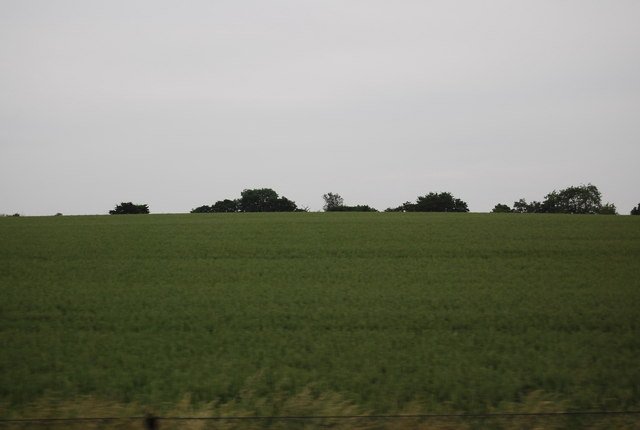 The Future Landscape (image credits: wikimedia)