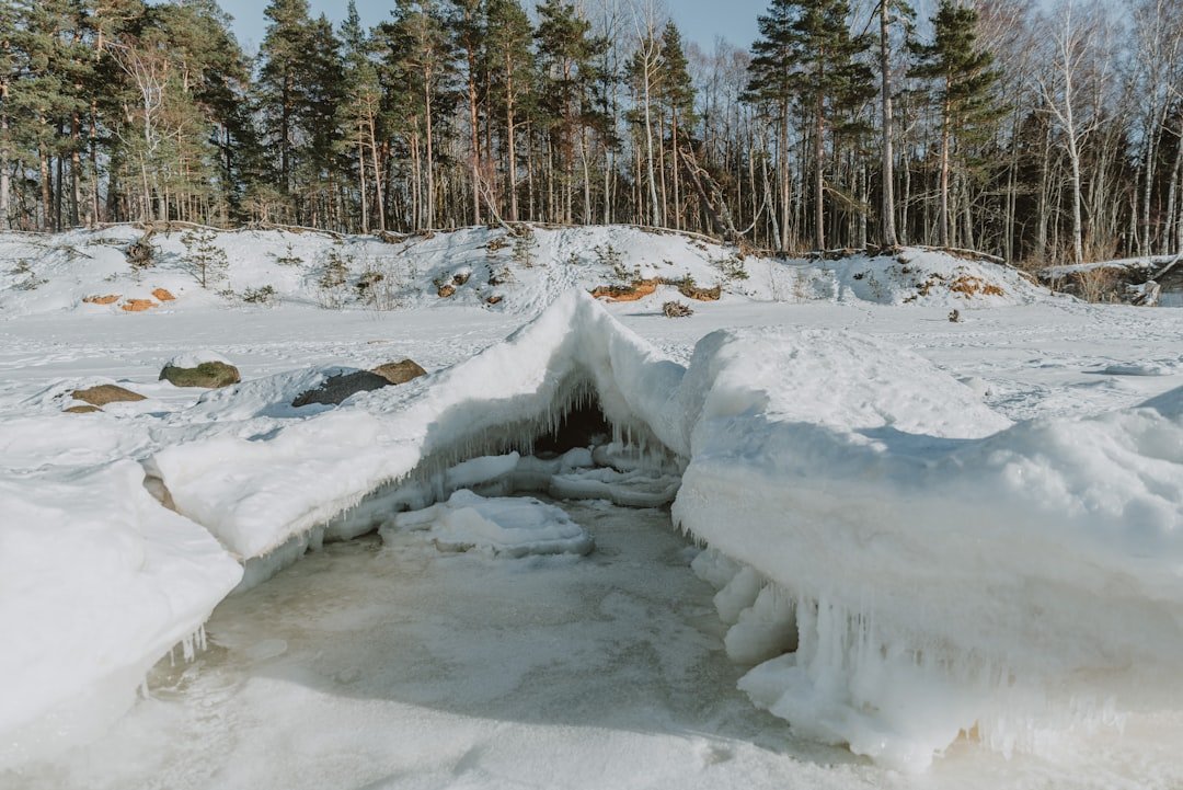 The Great 1989 Freeze That Paralyzed the State (image credits: unsplash)