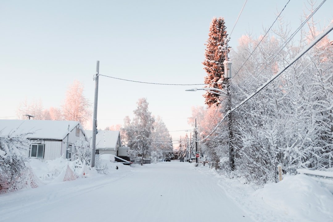 The Science Behind Alaska's Extreme Cold (image credits: unsplash)