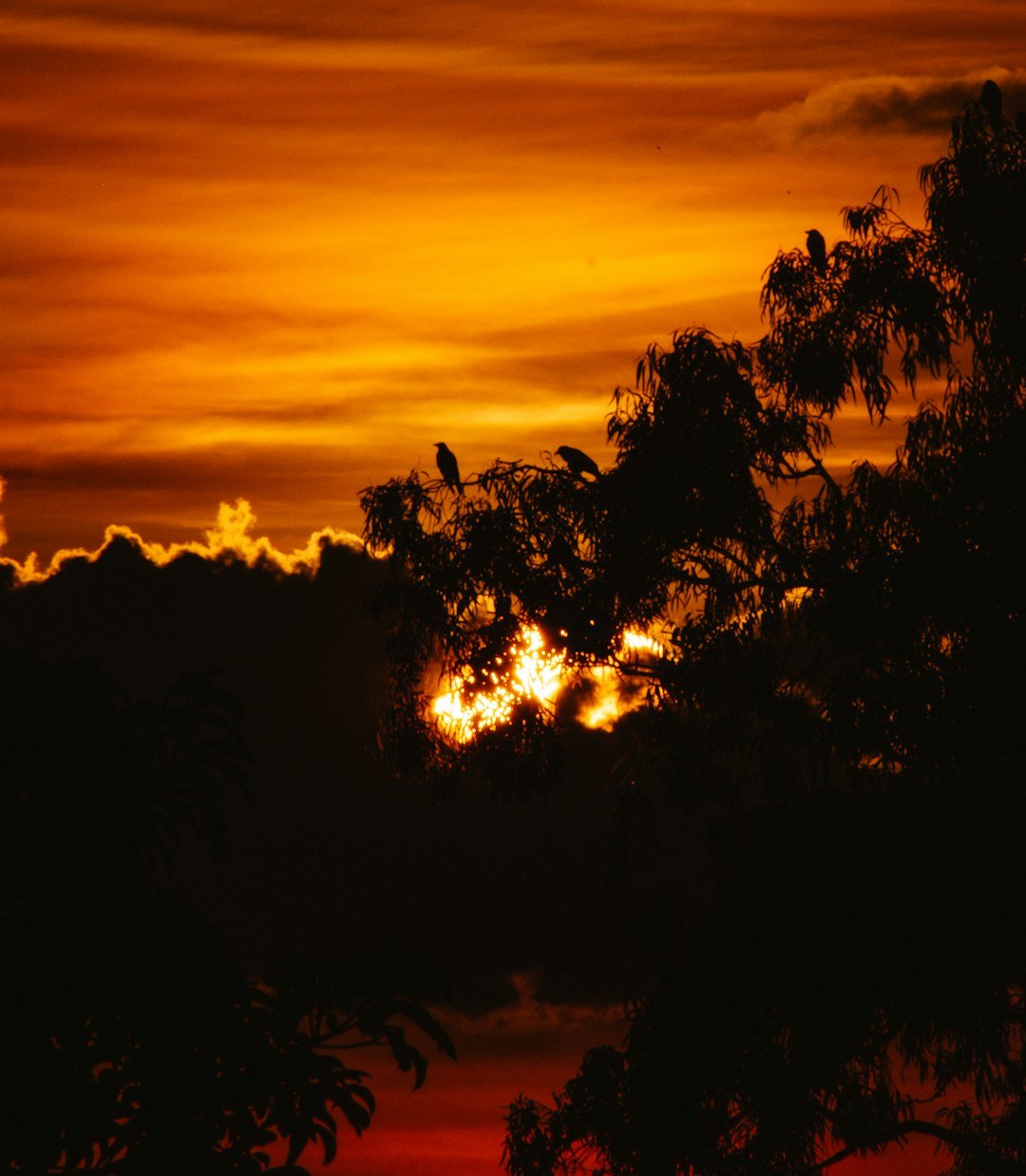 Nights That Refuse to Cool (image credits: unsplash)