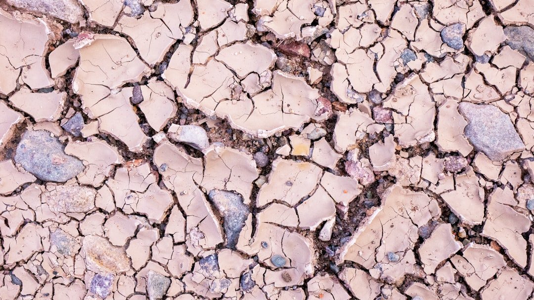 Dry Soils, Big Heat (image credits: unsplash)