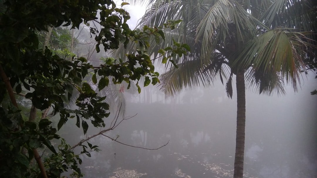 Allison Rewrites the Flood Map (image credits: unsplash)