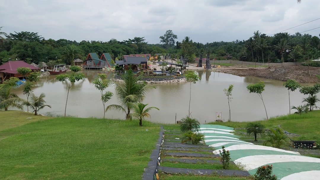 Conclusion (image credits: unsplash)