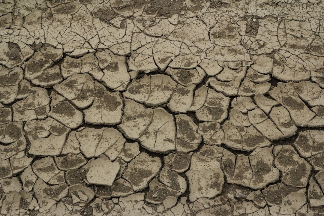 The 1863-64 Drought: When Settlers Called California Unsuitable for Farming (image credits: unsplash)
