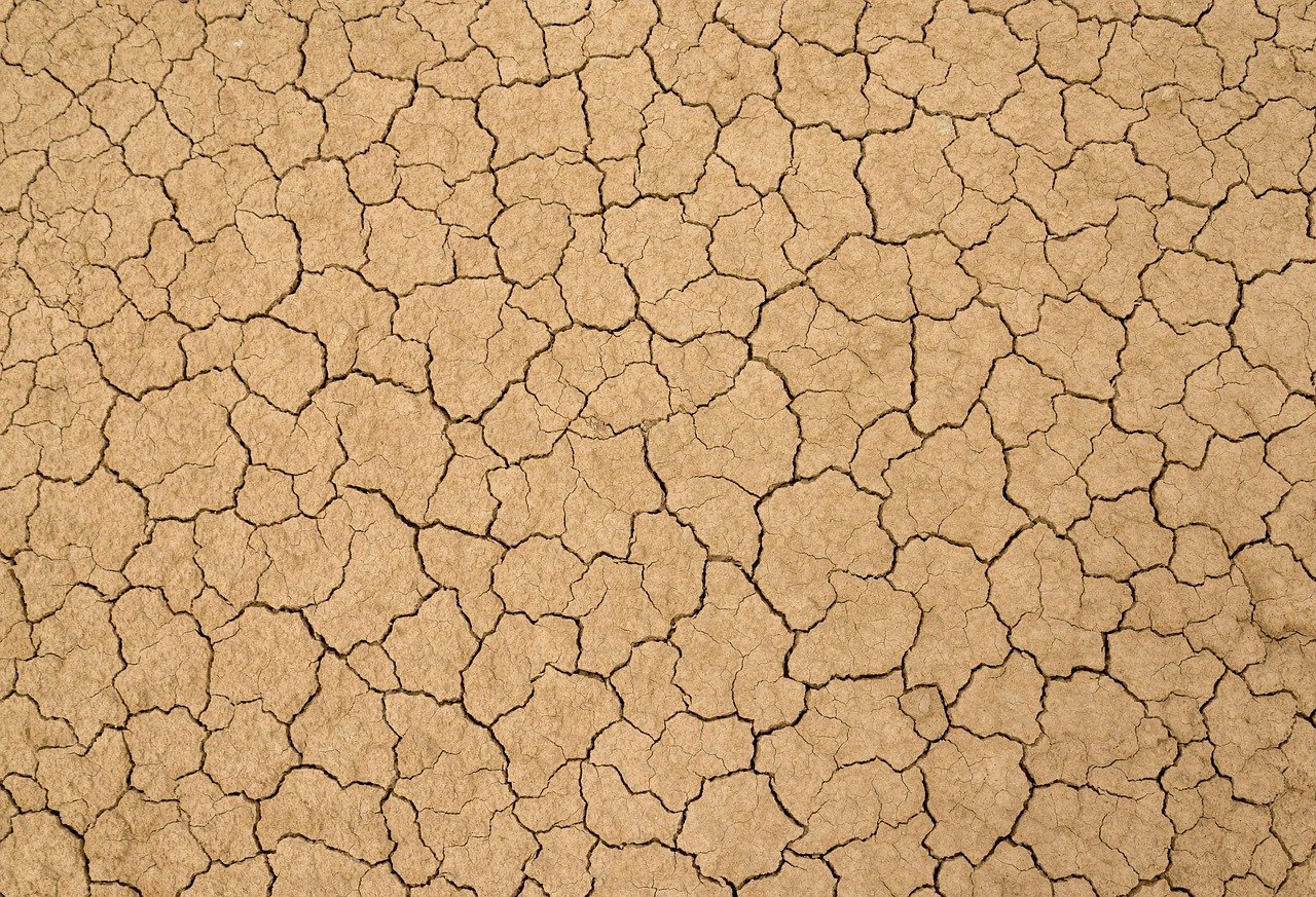 2012-2016: The Hottest Drought in Recorded History (image credits: pixabay)