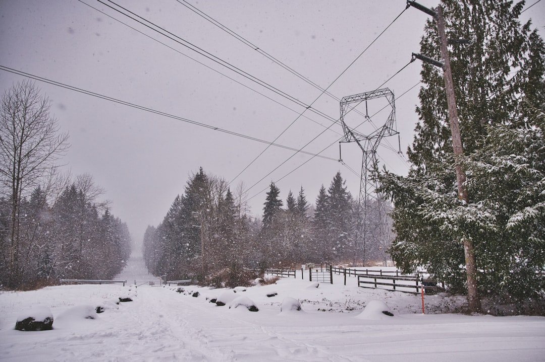 Power Grids Collapsed Under Winter's Fury (image credits: unsplash)