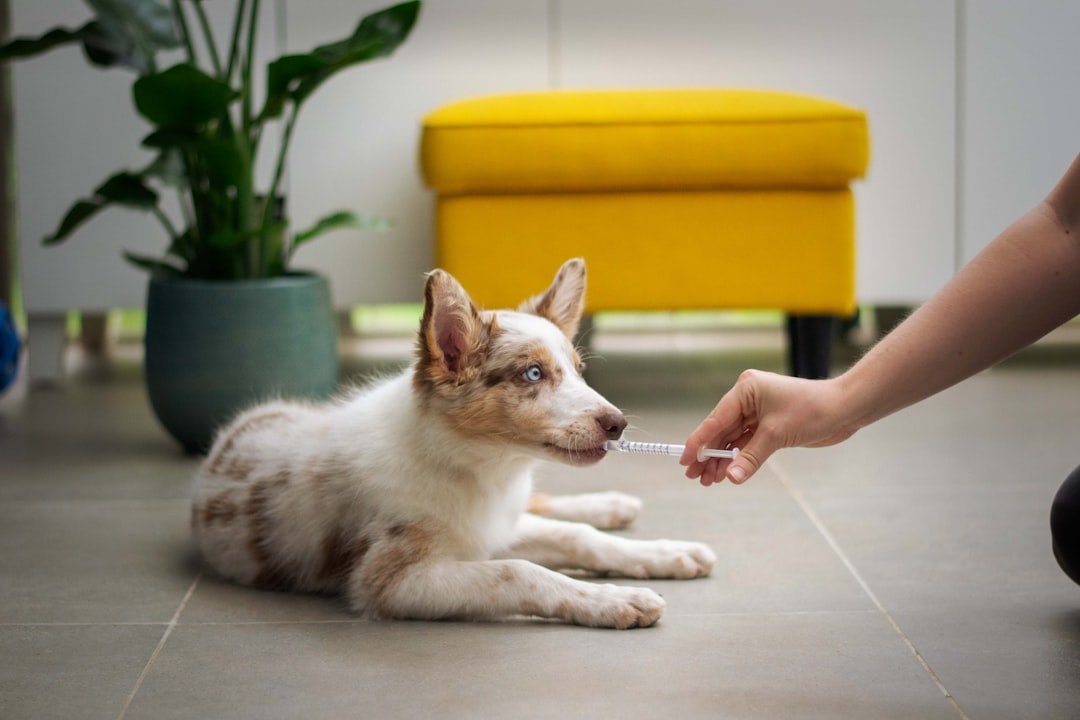 How You Can Help (image credits: unsplash)