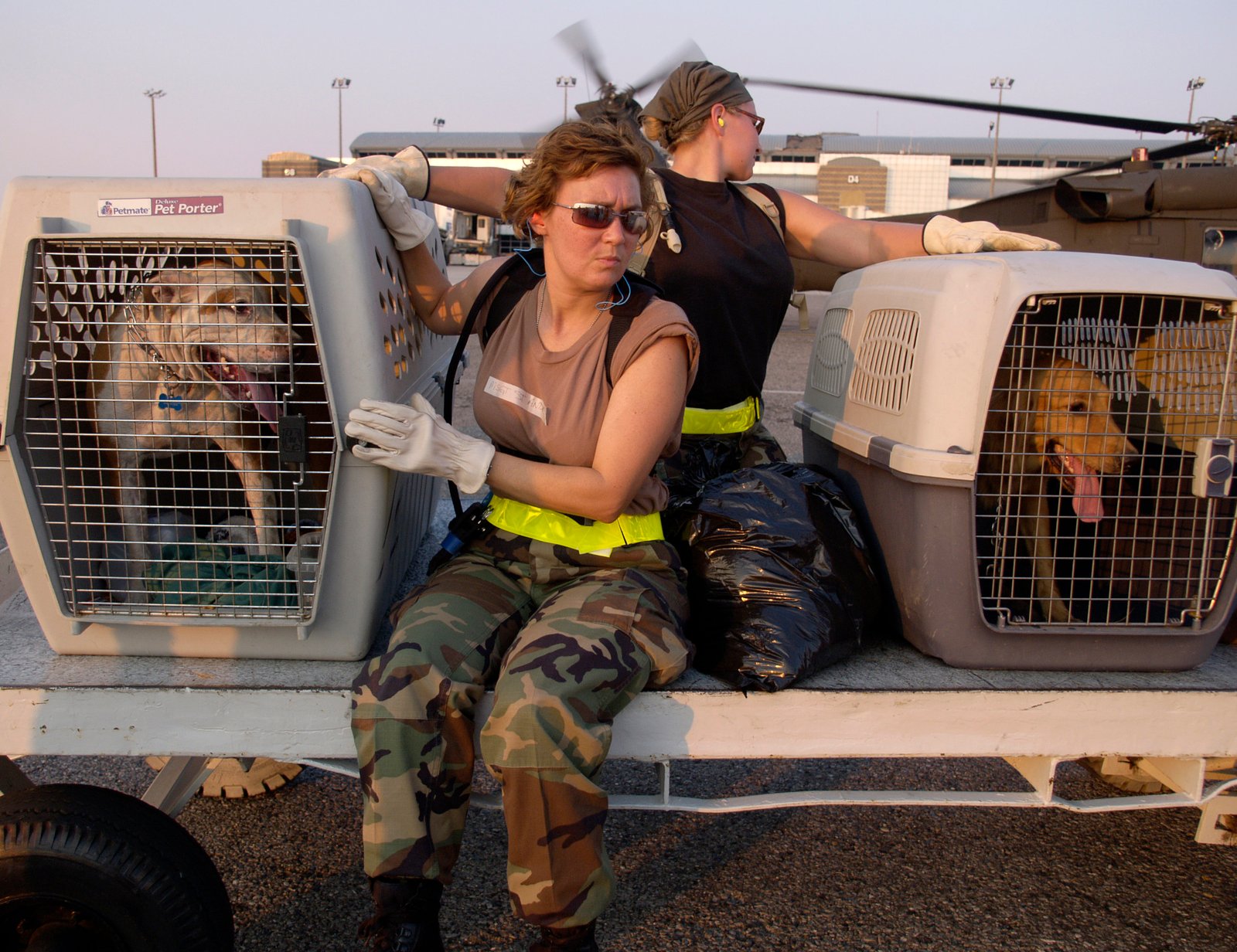 From Preparedness to Policy: Closing the Gaps (image credits: wikimedia)