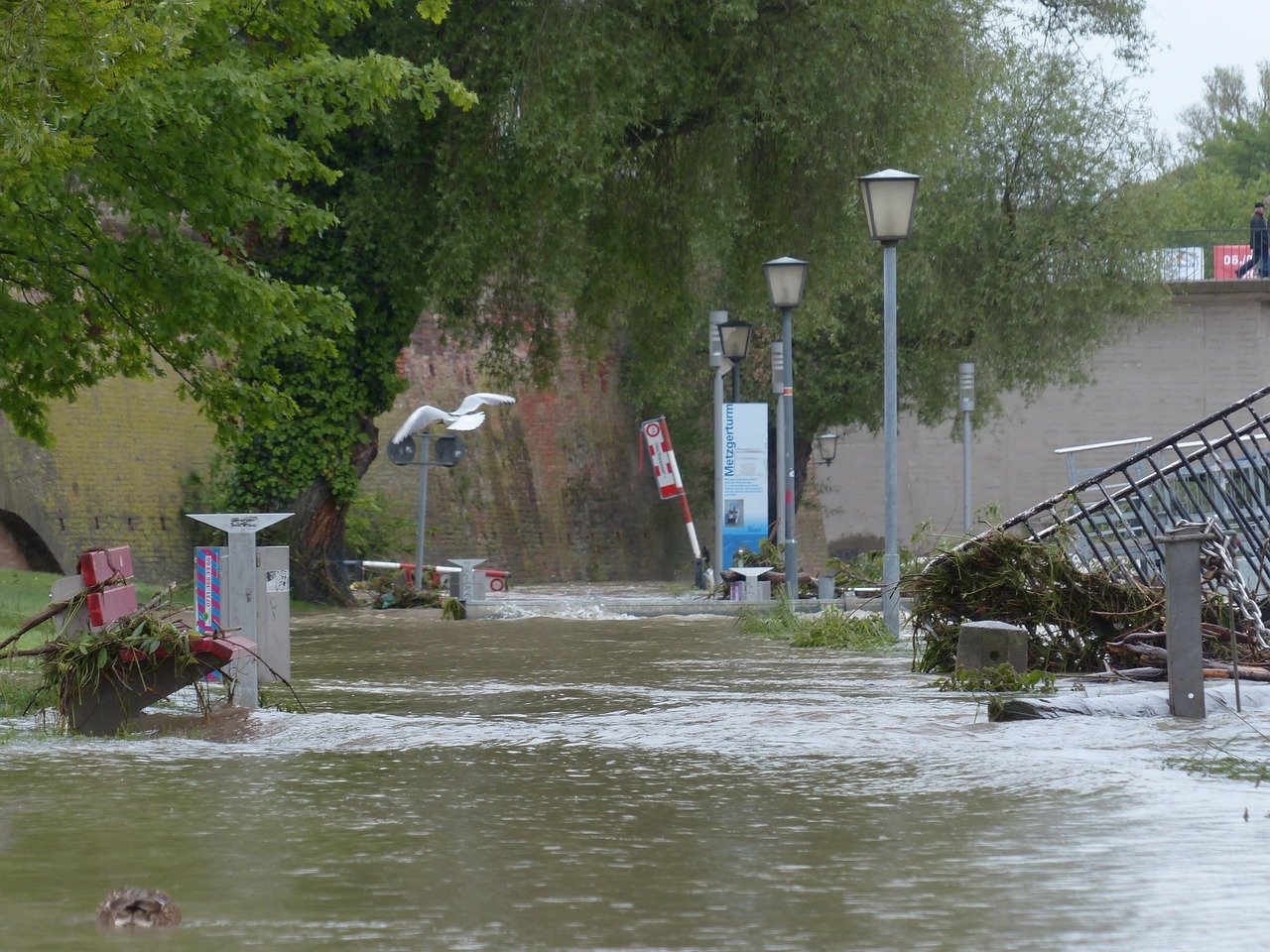 The Economic Tsunami Behind the Water (image credits: pixabay)
