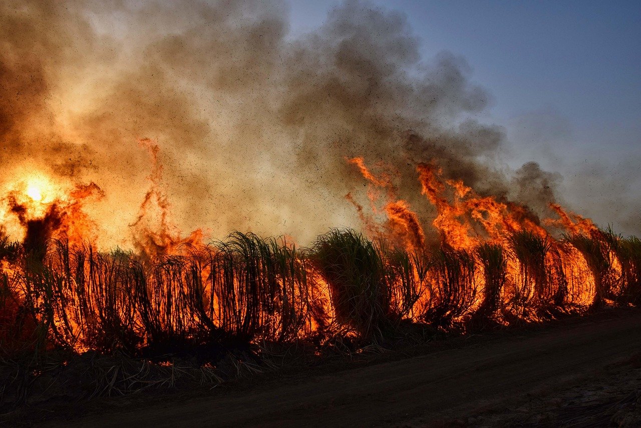 When Fire Meets Flood: The Perfect Storm of Destruction (image credits: pixabay)