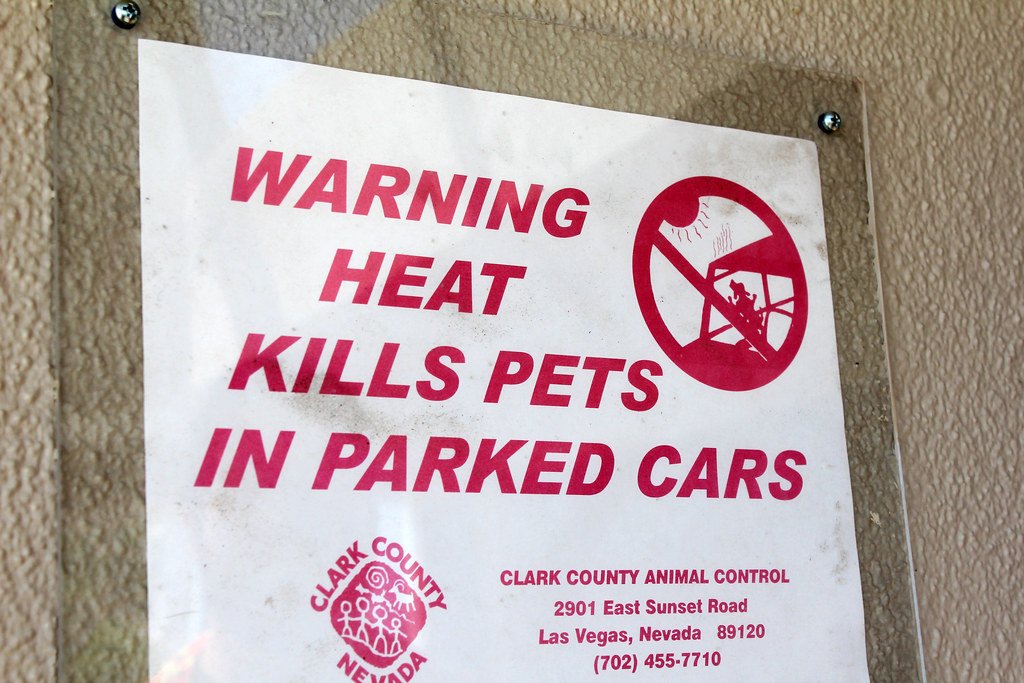 Legal Realities and Public Policy Changes (image credits: flickr)