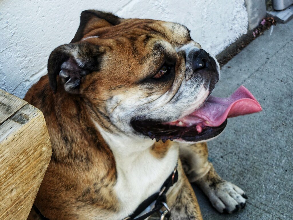 Conclusion: A Call for Awareness and Action (image credits: flickr)