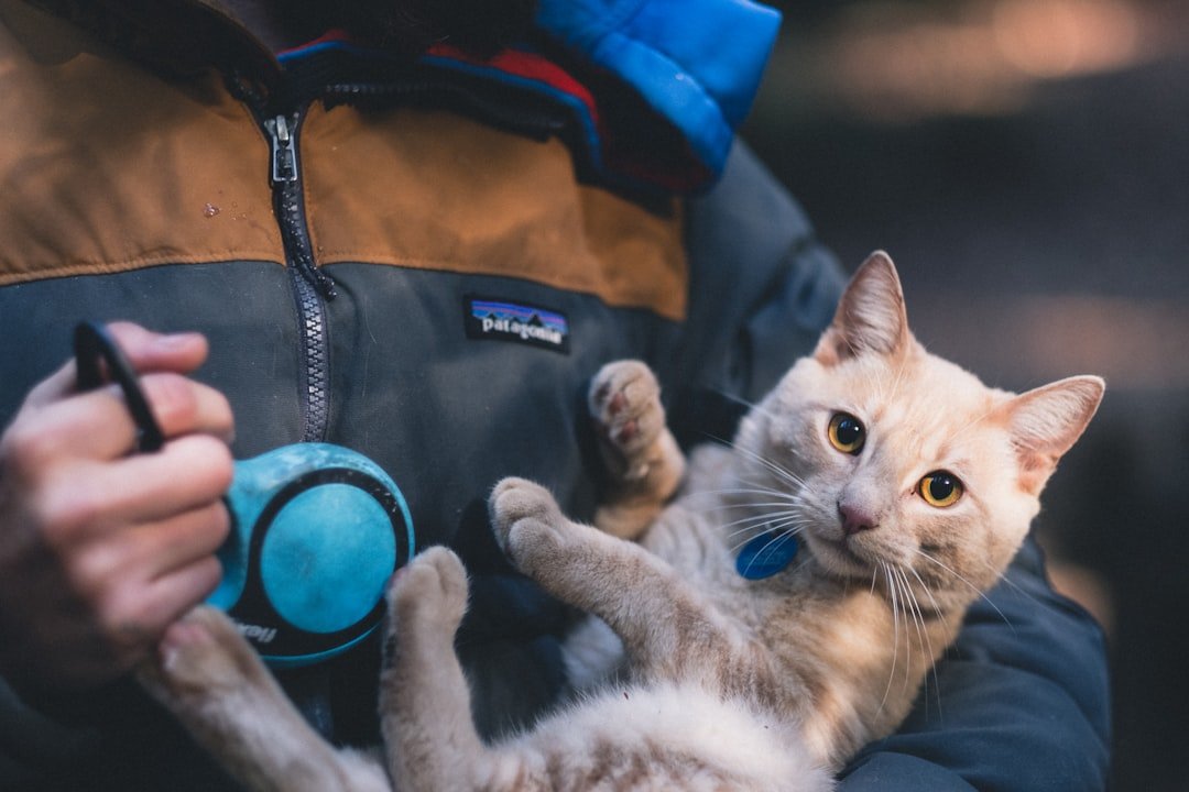 Emergency Preparedness: When the Unexpected Happens (image credits: unsplash)