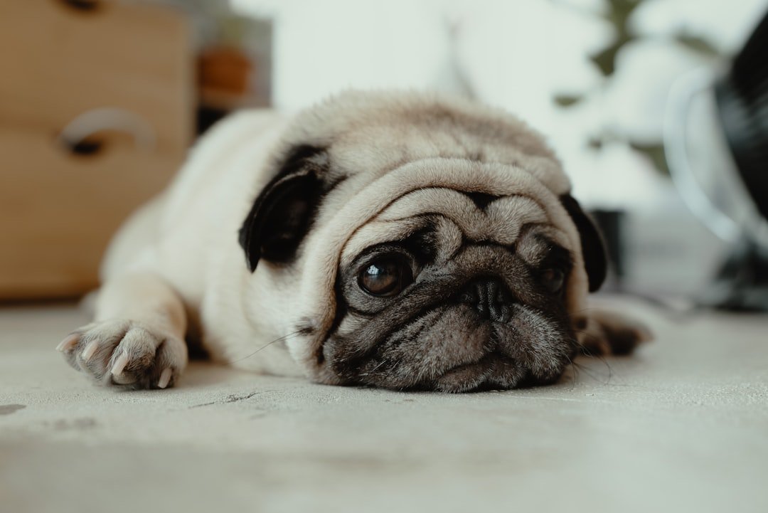 Severe Digestive Distress Signals Trouble (image credits: unsplash)