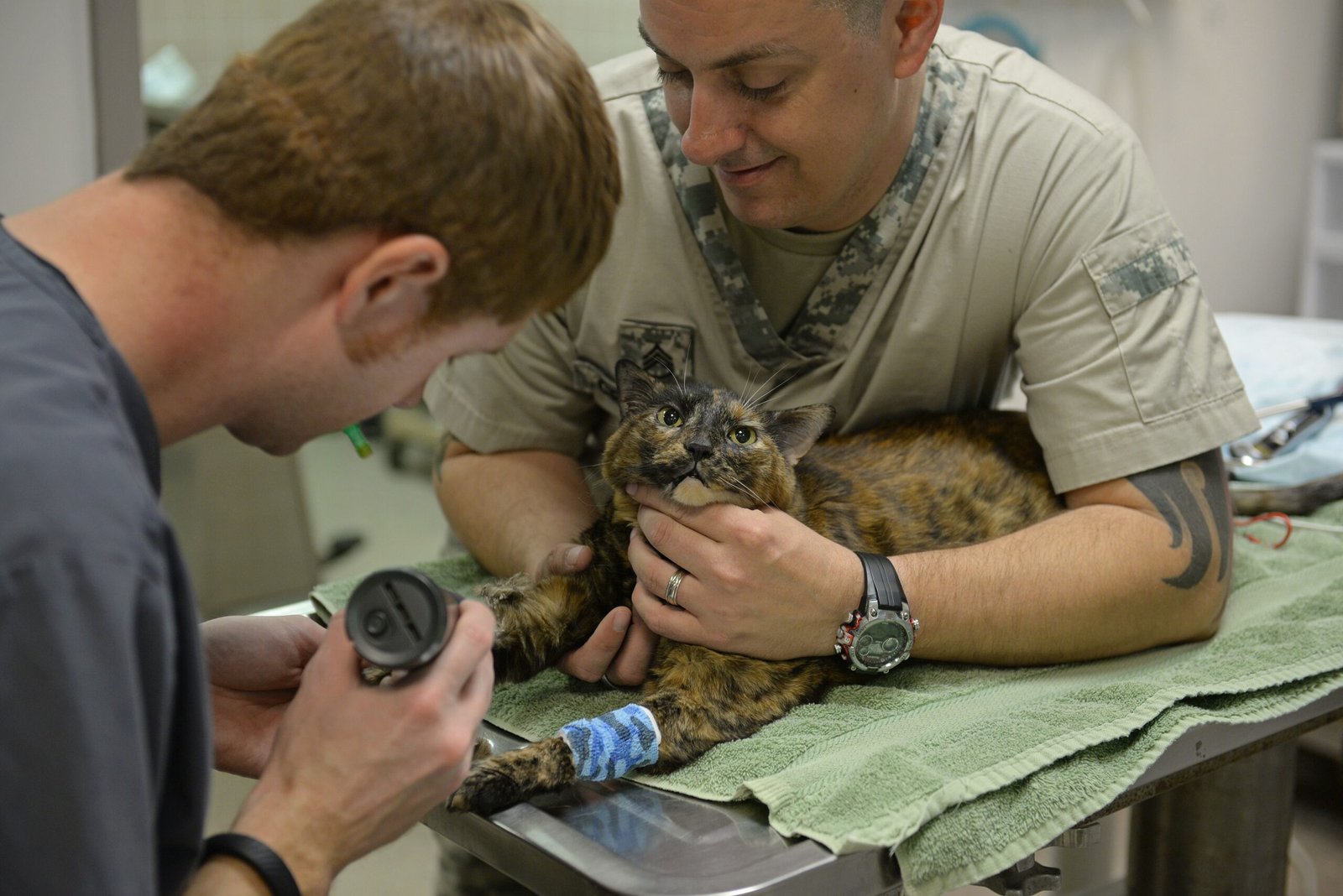 Severe Allergic Reactions Strike Fast (image credits: By Airman 1st Class Erica Fowler, Public domain, https://commons.wikimedia.org/w/index.php?curid=54007737)