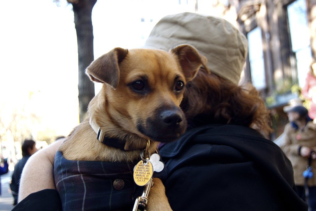 Recognizing the Warning Signs of Hypothermia (image credits: flickr)