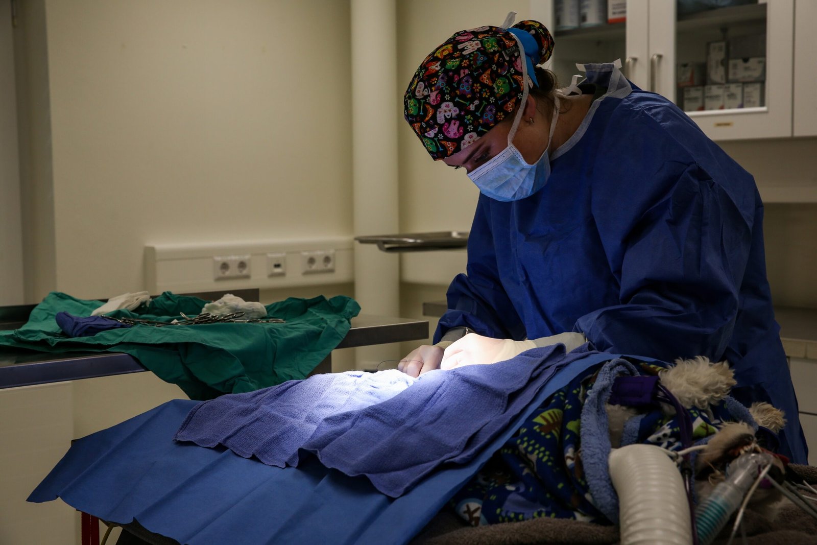 Treatment Costs and Survival Rates (image credits: wikimedia)