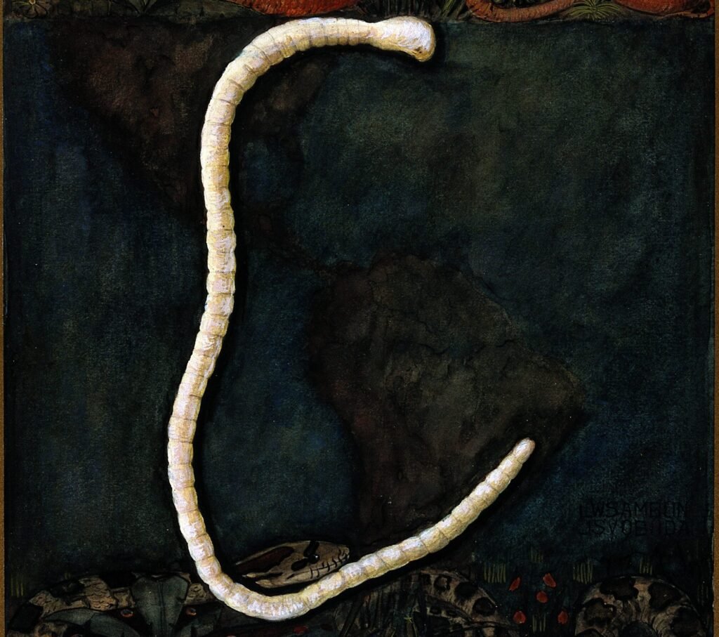 Soil-Transmitted Helminths Thrive in Rural Poverty