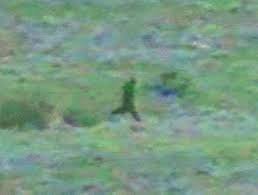 The Lori Pate Memorial Day Footage (image credits: big foot film footage. Source Flickr)