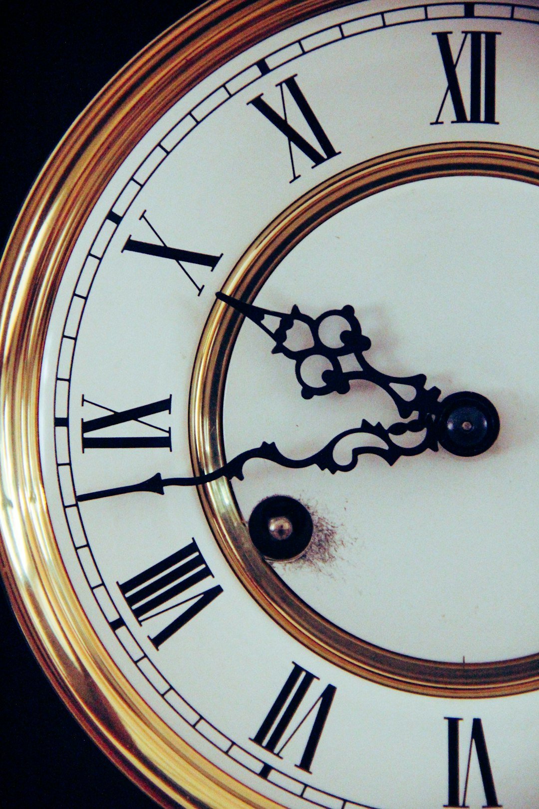 The Epigenetic Layer: Clocks, Switches, and Cellular Memory (image credits: unsplash)